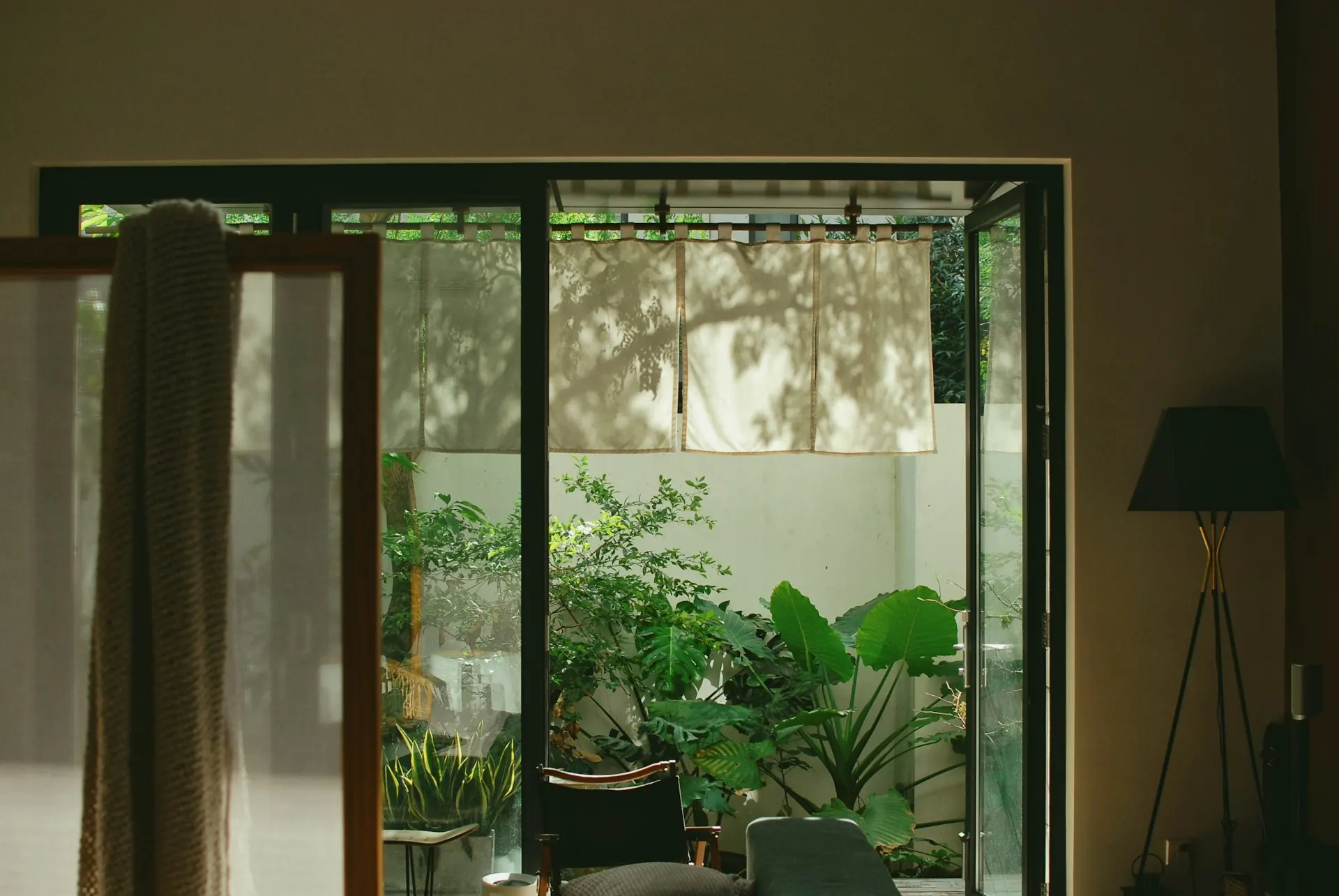 Sliding glass door opening onto a planted courtyard